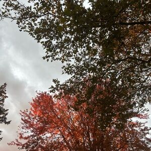 Meet your Posher, Randip